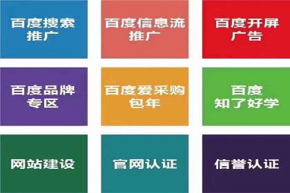 企业SEM托管代运营实战案例